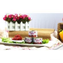 Canned Tomato Concentrate Iran Yoli Brand